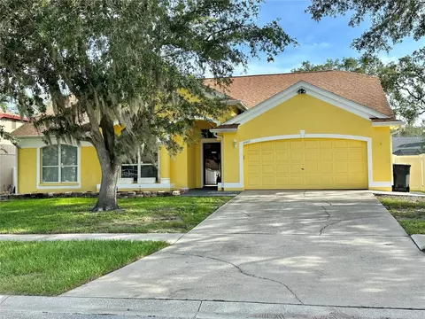 10507 Sedgebrook Dr, Riverview, FL 33569 photo 1