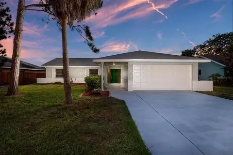 6515 Solitaire Palm Way, Apollo Beach, FL 33572