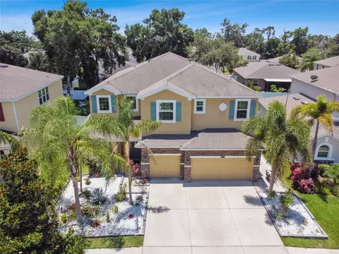 View/Area - 10413 Hampton Meadow Way, Riverview, FL 33578 photo 1 of 15