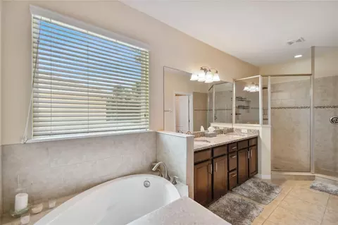 Bath - 10413 Hampton Meadow Way, Riverview, FL 33578 photo 4 of 6