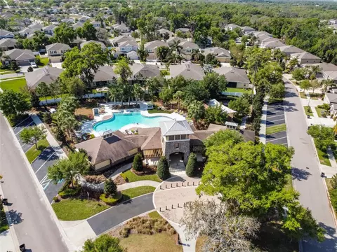 View/Area - 10413 Hampton Meadow Way, Riverview, FL 33578 photo 9 of 15