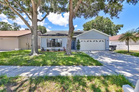 11415 Smokethorn Dr, Riverview, FL 33579