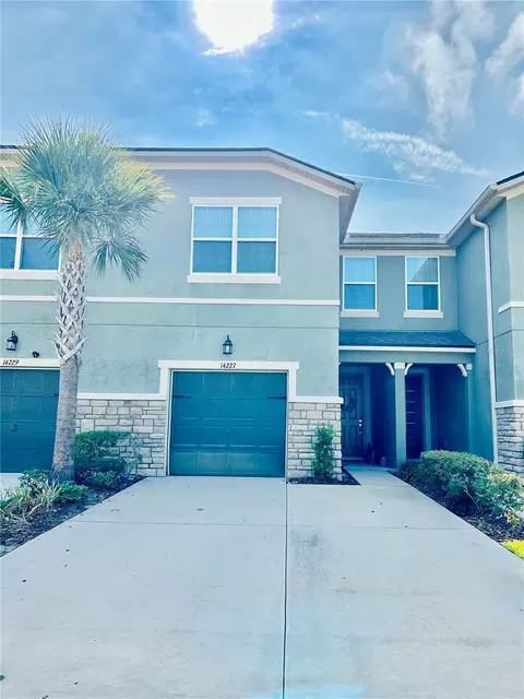 14227 Damselfly Dr, Tampa, FL 33625