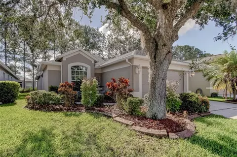 5230 Gato Del Sol Cir, Wesley Chapel, FL 33544