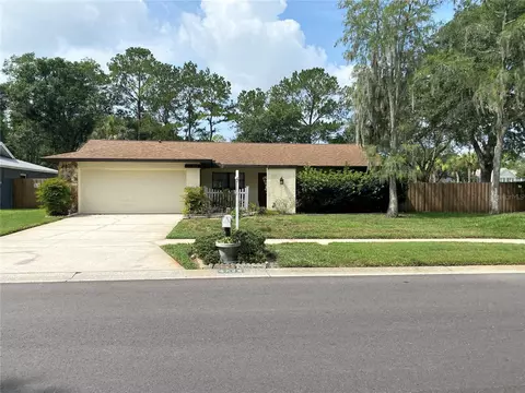 4228 Summerdale Dr, Tampa, FL 33624