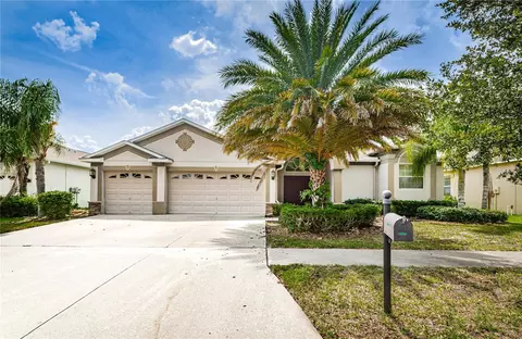 20106 Blue Daze Ave, Tampa, FL 33647