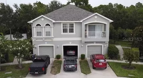 8882 Moonlit Meadows Loop, Riverview, FL 33578