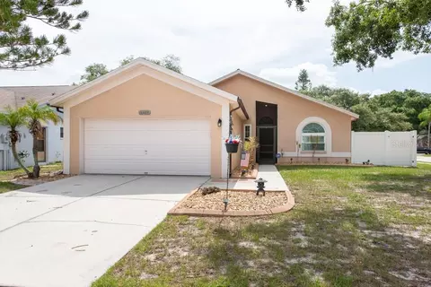 11324 Blackbark Dr, Riverview, FL 33579