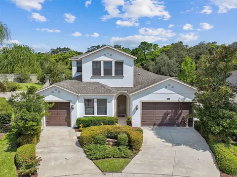 2633 Milford Berry Ln, Tampa, FL 33618
