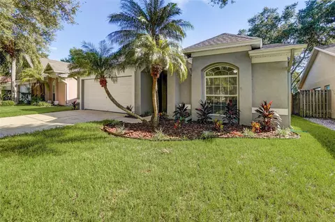 11201 Bramblebrush St, Tampa, FL 33624