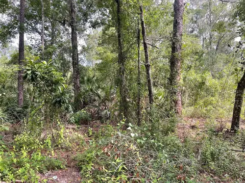 0 Eola Ave, New Port Richey, FL 34654