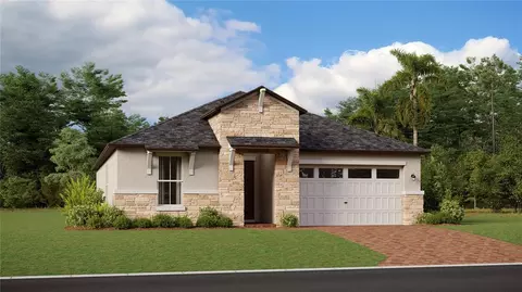 9810 Carabiner Way, Land O Lakes, FL 34637