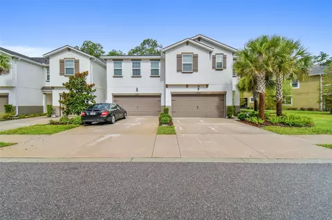 17840 Althea Blue Pl, Lutz, FL 33558