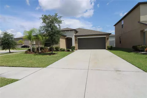 7202 Pearly Everlasting Ave, Tampa, FL 33619