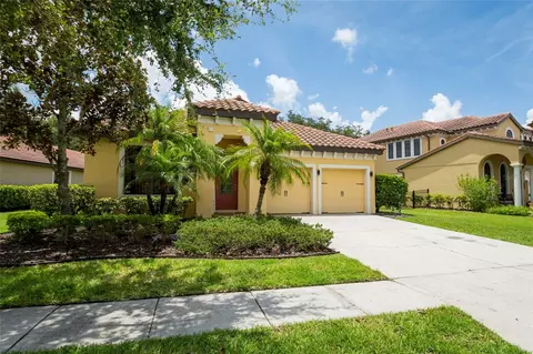 20322 Chestnut Grove Dr, Tampa, FL 33647