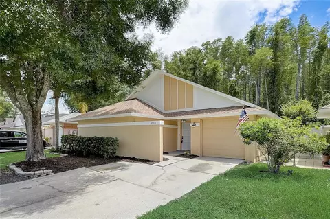 5914 Birchwood Dr, Tampa, FL 33625