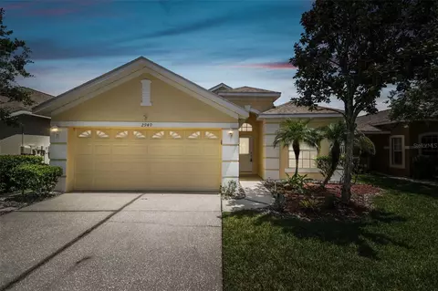 2940 Banyan Hill Ln, Land O Lakes, FL 34639
