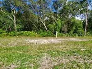 Faculty Street, Webster, FL 33597
