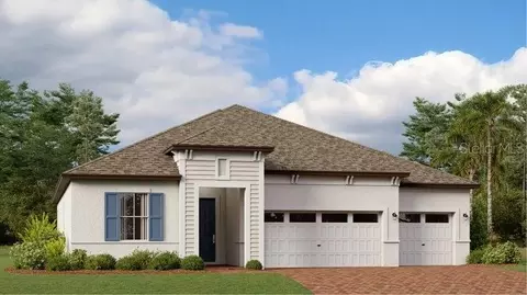 8782 Little Bluestem Dr, Land O Lakes, FL 34637