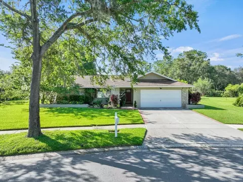 13907 Wolcott Dr, Tampa, FL 33624