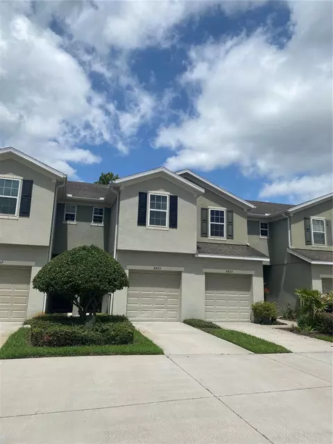 8855 Turnstone Haven Pl, Tampa, FL 33619