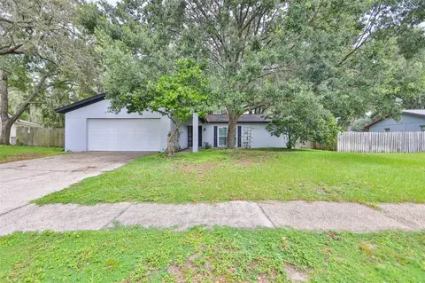3928 Oak Hammock Dr, Brandon, FL 33511
