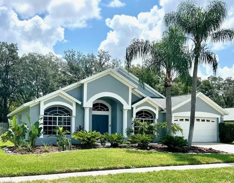 15029 Meadowlake St, Odessa, FL 33556