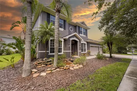 16111 Colchester Palms Dr, Tampa, FL 33647
