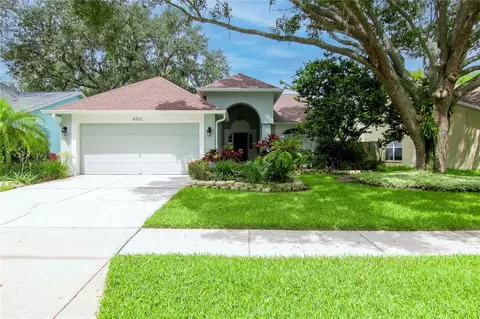 4701 Rockingchair Dr, Valrico, FL 33596