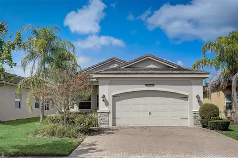 30564 Chesapeake Bay Dr, Wesley Chapel, FL 33543