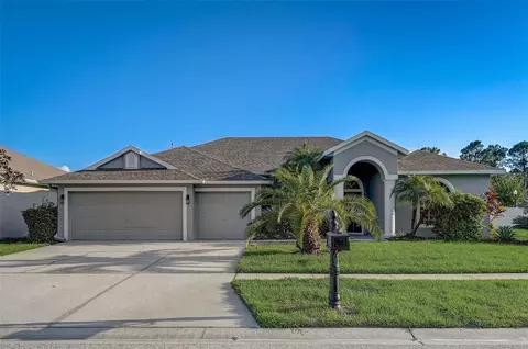 12909 Tar Flower Dr, Tampa, FL 33626