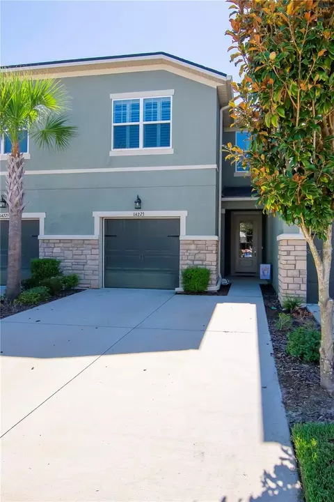 14223 Damselfly Dr, Tampa, FL 33625