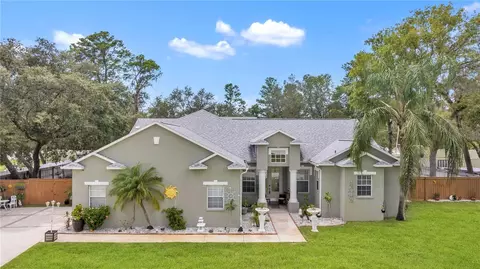11311 Tralee Dr, Riverview, FL 33569 photo 1