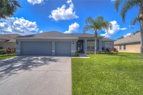 2816 Duncan Tree Cir, Valrico, FL 33594