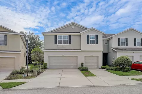 5044 White Sanderling Ct, Tampa, FL 33619