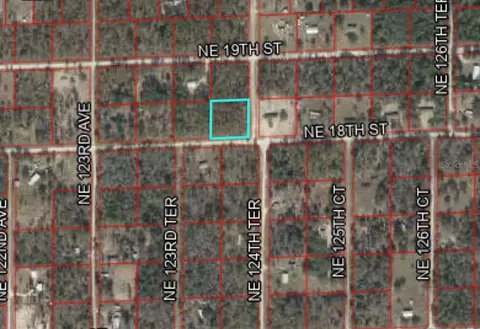 12400 18th St NE, Williston, FL 32696