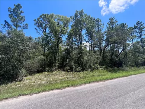 3354 W Early Pl, Citrus Springs, FL 34433