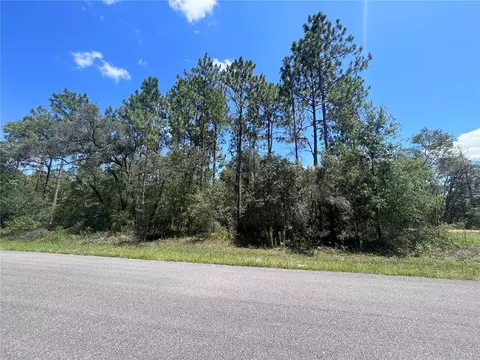 3370 W Early Pl, Citrus Springs, FL 34433
