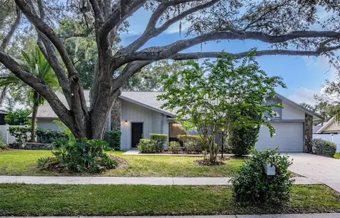 3046 Avalon Terrace Dr, Valrico, FL 33596