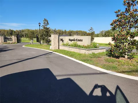 Magnolia Acres Court, Lutz, FL 33549