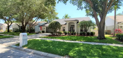 13705 Whitebark Pl, Tampa, FL 33625