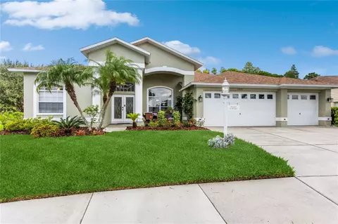 11035 Wedgemere Dr, Trinity, FL 34655