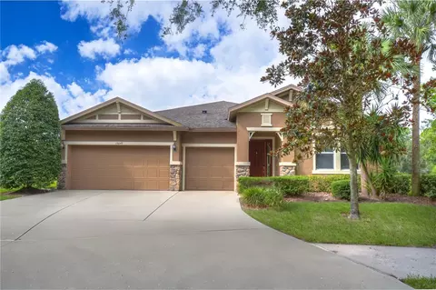 15649 Starling Water Dr, Lithia, FL 33547
