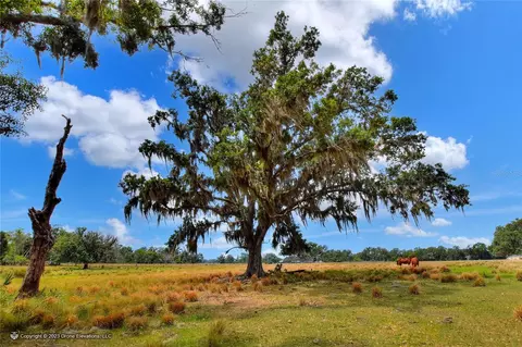 Kilgore Road, Plant City, FL 33567