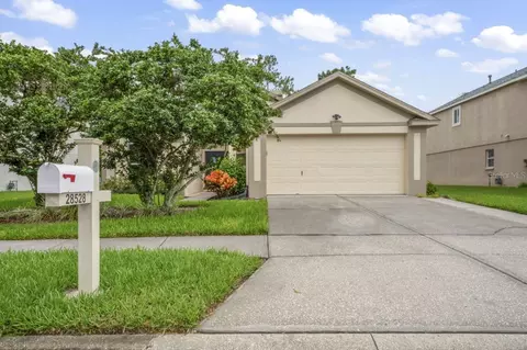 28528 Tall Grass Dr, Wesley Chapel, FL 33543