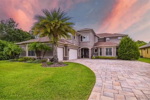 16302 Wild Mallard Dr, Odessa, FL 33556