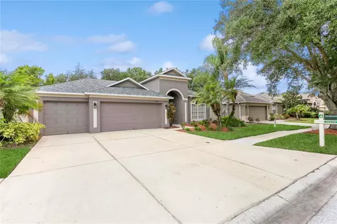 19208 Meadow Pine Dr, Tampa, FL 33647