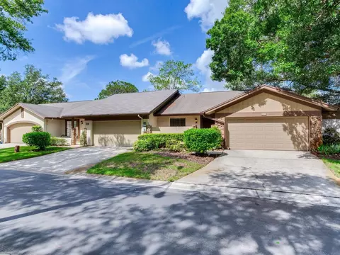 3936 Shoreside Cir, Tampa, FL 33624