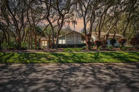2515 Regal Oaks Ln, Lutz, FL 33559