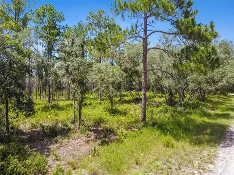 Softstone Drive, Webster, FL 33597